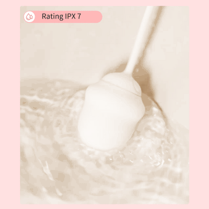 DRYWELL Vibrators ไข่รีโมทคอนโทรลช่องคลอดลูก Clitoris G Spot Stimulator สั่นกางเกงผู้หญิงผู้ใหญ่ของเล่นเซ็กซี่