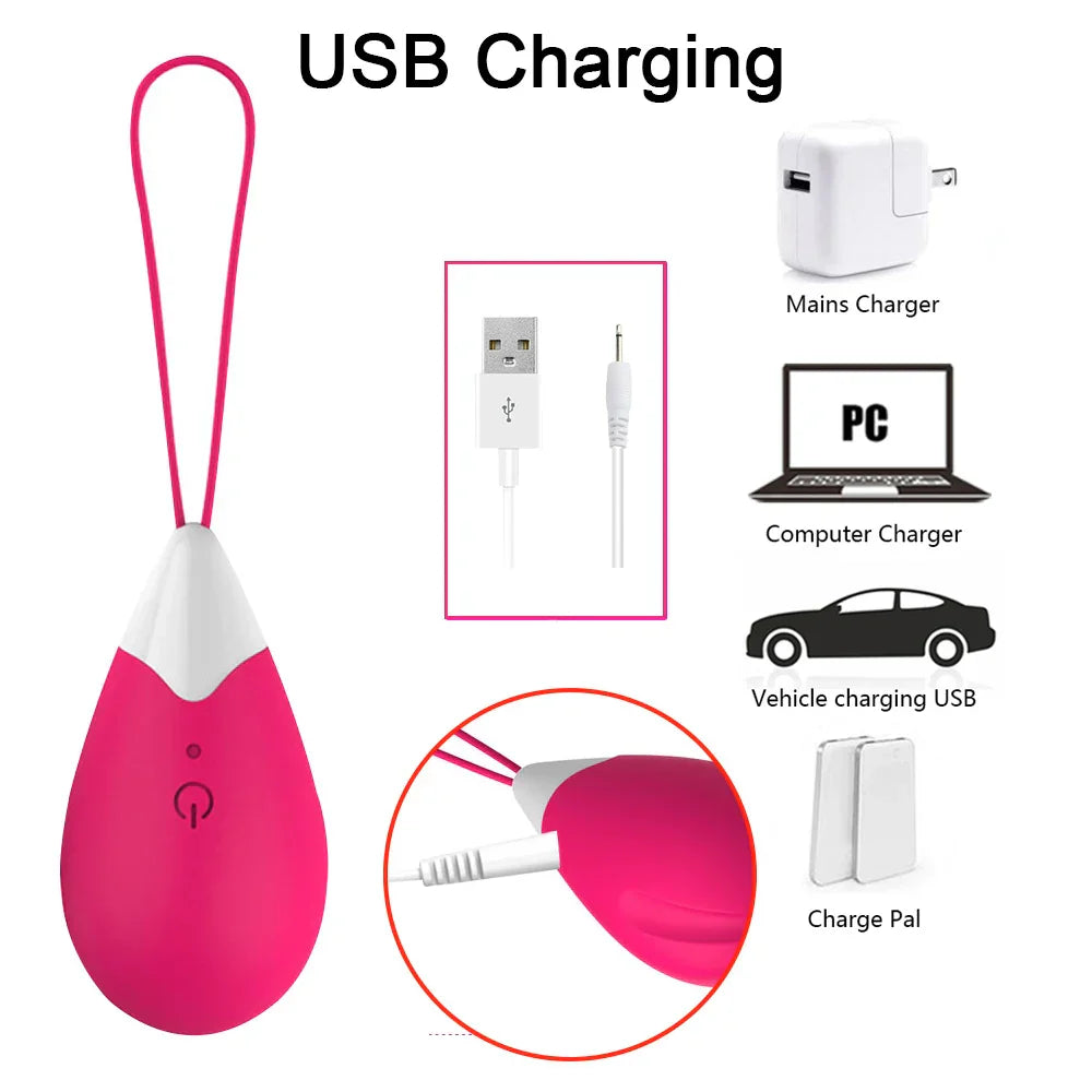 Silicone Vibrating Eggs Wireless Vaginal Ball Vibrating Exercises Smart Love Ball Remote Jump Eggs Vibrator Sex Toys for Women