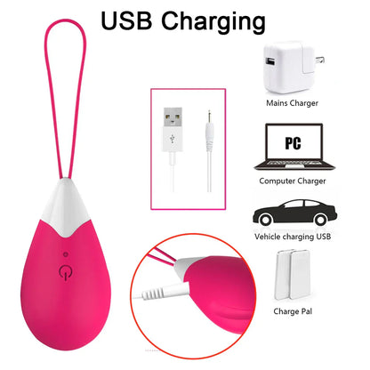 Silicone Vibrating Eggs Wireless Vaginal Ball Vibrating Exercises Smart Love Ball Remote Jump Eggs Vibrator Sex Toys for Women